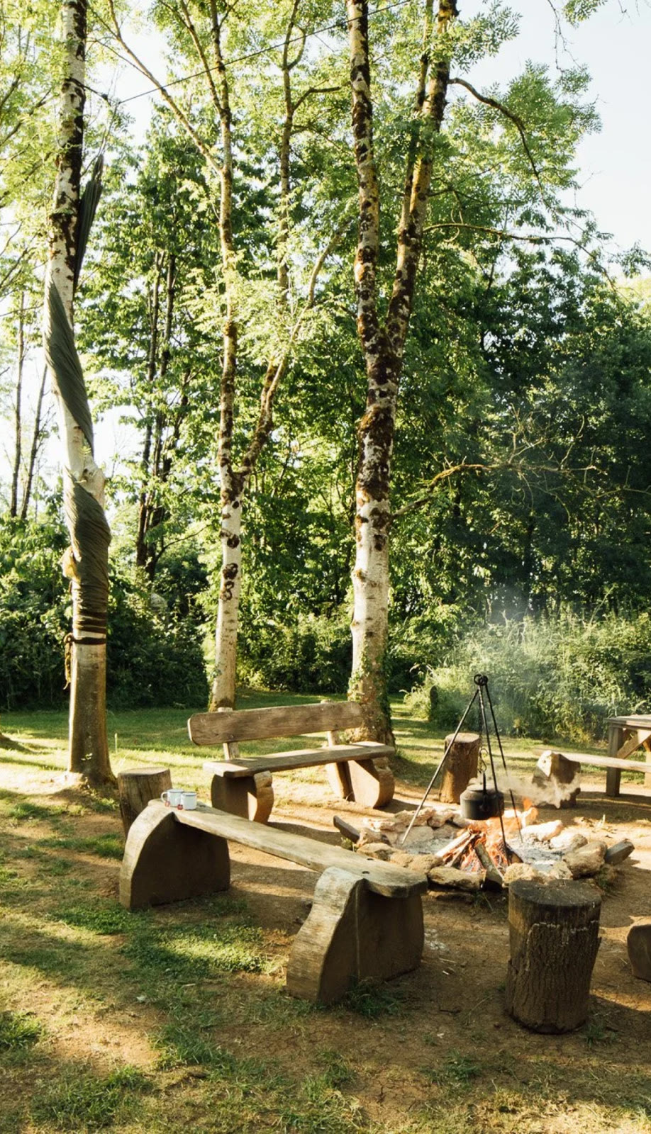 Log benches round a fire pit in a sunlit woodland clearing